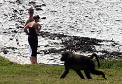 cape point IMG_1559.JPG